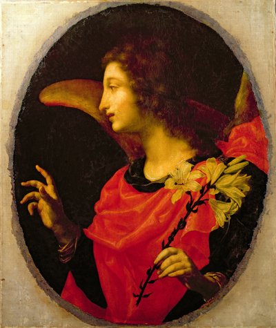 Annunciate Angel by Cesare Dandini